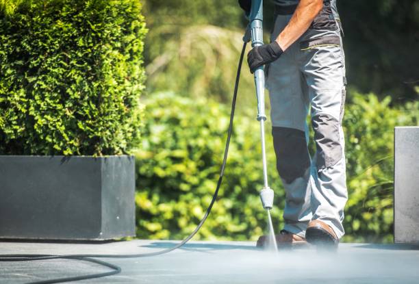 Best Animal Enclosure Cleaning  in Duncan, SC